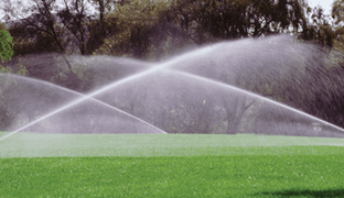 Sports Oval Irrigation  in Richmond, New South Wales