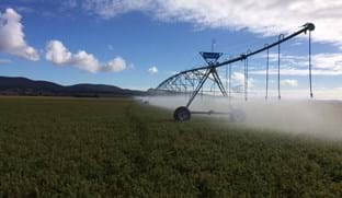 Valley Pivot Irrigation in Richmond, New South Wales